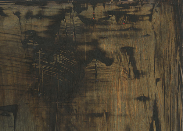 Oak trunk and shadows